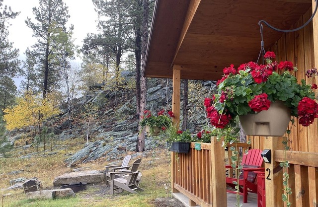 Spectacular setting, amenities, and centrally located to Mt. Rushmore and Custer State Park, and hiking. Wi-Fi. Excellent cell service (Verizon & ATT).A favorite cabin for honeymoons and anniversaries Private campfire. Off-season discounts. No extra