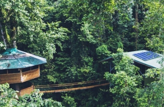 SpectacularJungle Canopy Treehouse