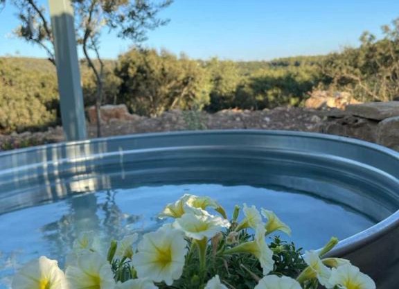 Splendor Of Dawn - yurt in the nature