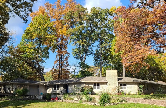 Sprawling mid-century, unique, SPACIOUS & dog friendly home!