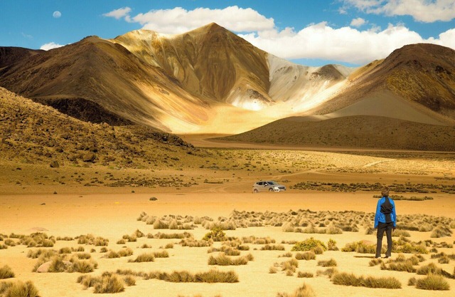 Spring Break Savings & Packages