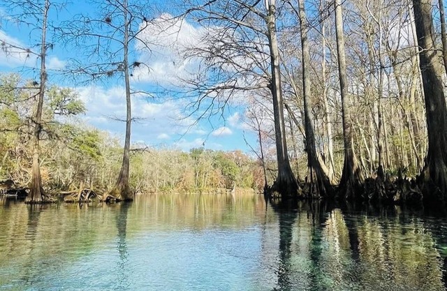 SPRING HAVEN RETREAT! A BEUTIFULL ANDSPOTLESS!