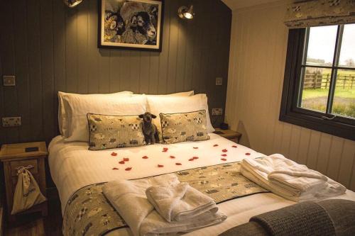 Springwood Shepherd Huts Glamping York