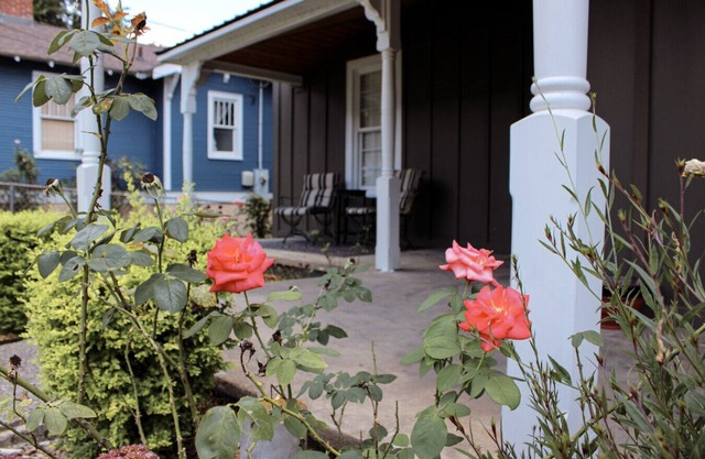 St. Elmo Lookout - Beautiful Home|Monthly Stays!