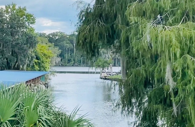 St. Johns River Community Home with Dock Access