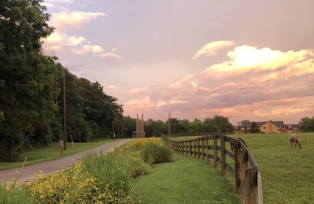 St. Noel Sassafras Suite at Camp Ondessonk