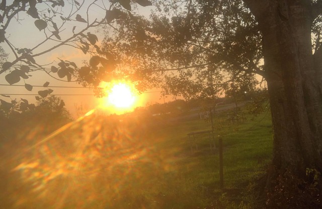 "Stab'n Kab'n on the Bayou" - 4bd w/free boat launch access, Hunt Fish Explore!