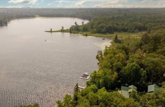 Starry Pines: Beautiful, Peaceful and Serene Lakeside Cabin near Crosslake, MN