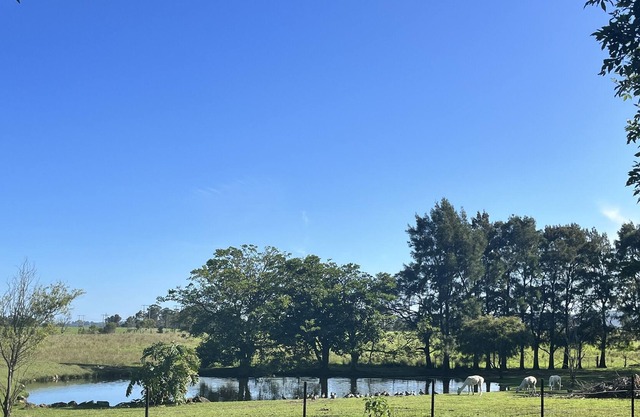 Stay 5 mins from Milton in a new private farm stay cabin