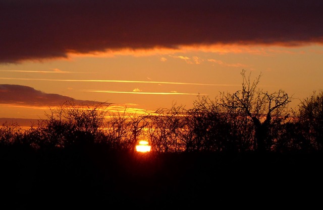 Stay in a traditional Gypsy Caravan close to Glastonbury in a private orchard