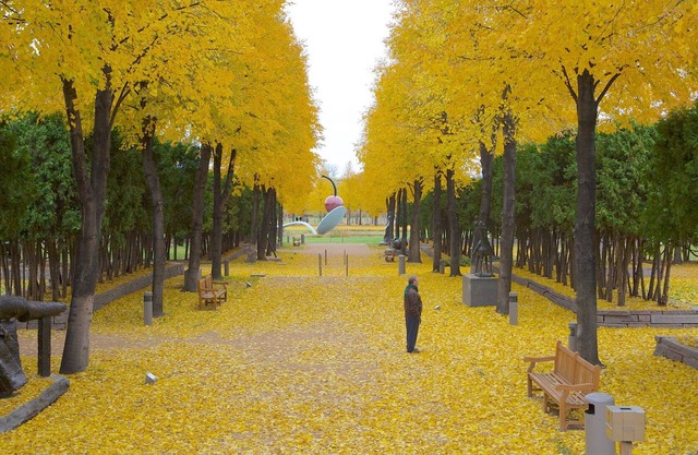 Stay in this beautiful place in Minnesota!