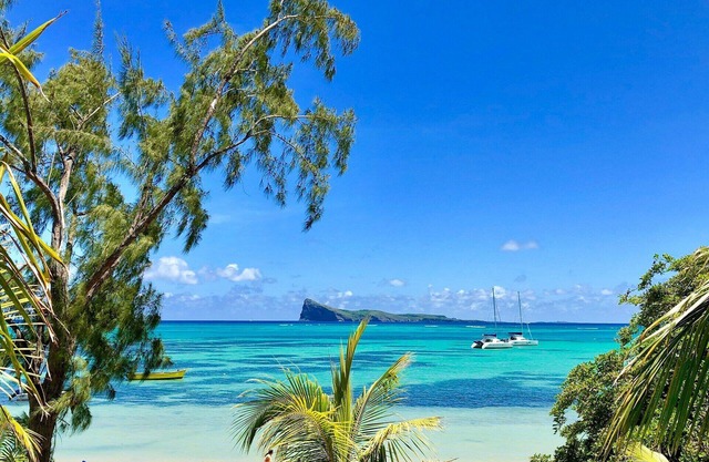 Stay on the Bay at this beautiful Room!