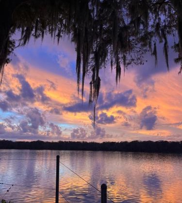 Stegbone's Fish Camp and Resort