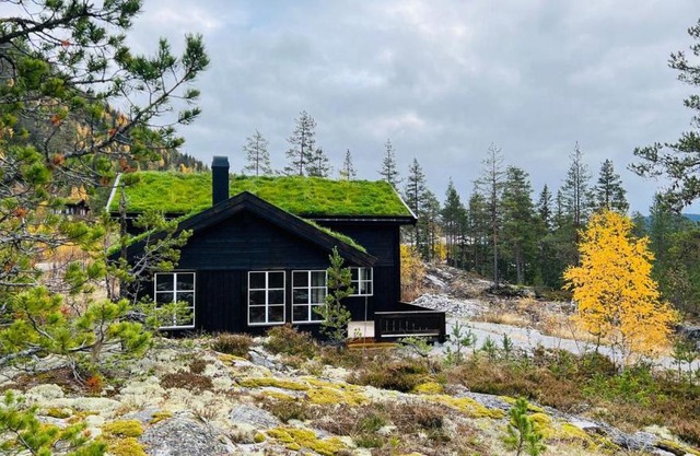 Storekleiv Hyttefelt Tuddal