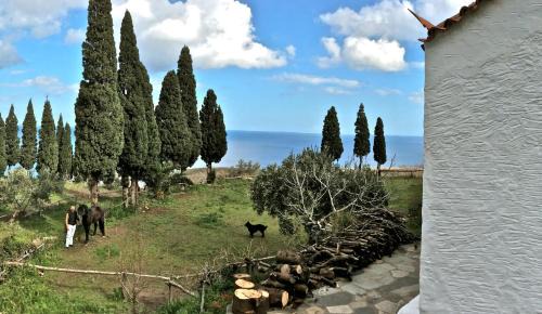 Strongilos Homestay