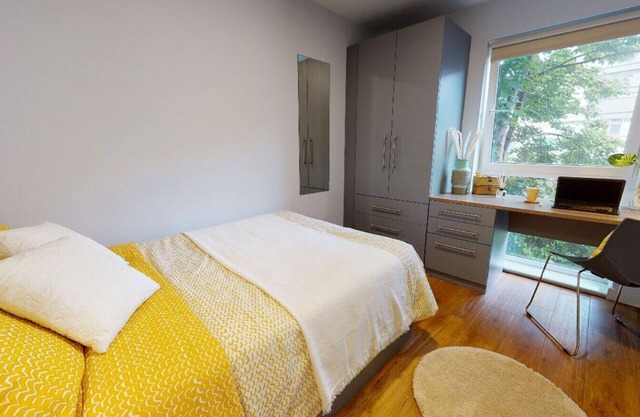 Student Only: Peaceful Private Room in Apartment