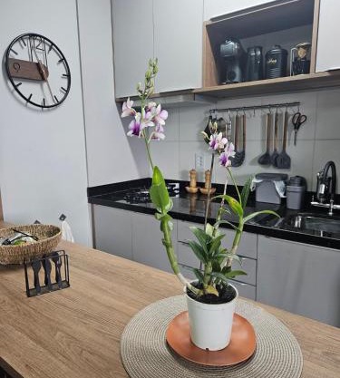 Studio 106 - com ar condicionado e garagem