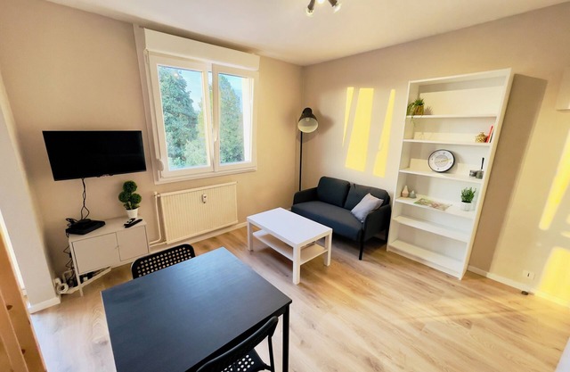 Studio 43ajj au Centre Ville de Lure