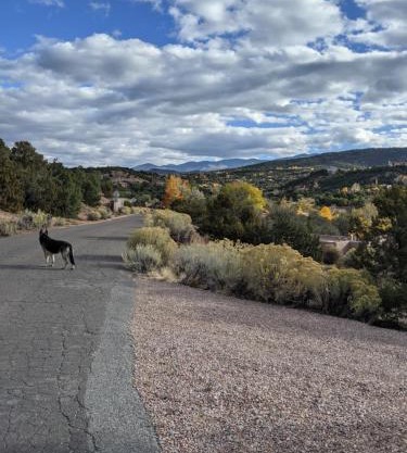 Studio apartment 15 minute walk to plaza