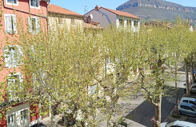 Studio Cosy - Plein Cœur Millau