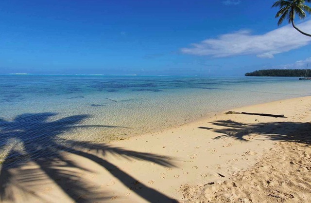 Studio Moana