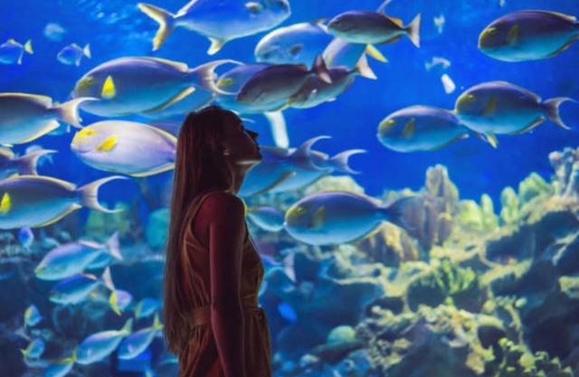 Studio near Mashreq Metro Al Barsha