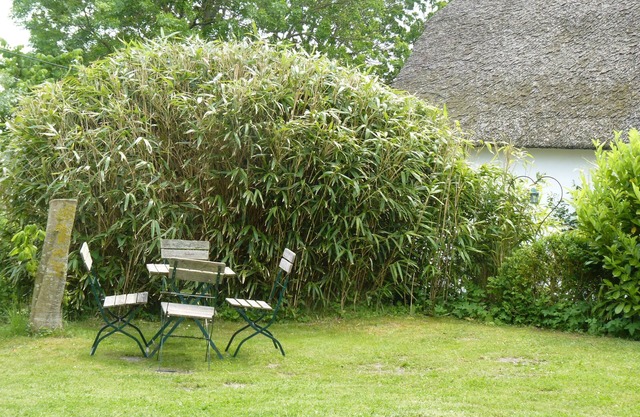 Studio Unterm Reethdach