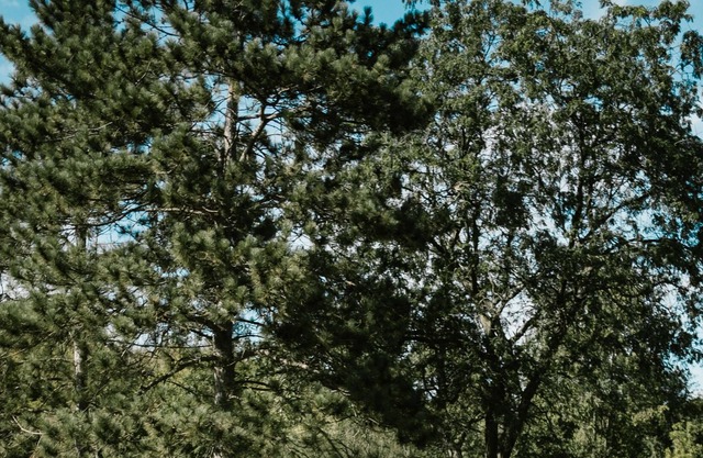 Studio Villa hosted by Grand