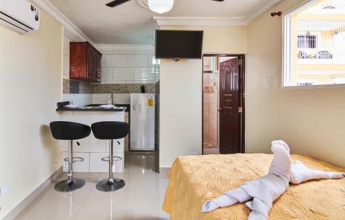 Studio with Kitchen in Corales del Sur, Santo Domingo Este - Parque del Este