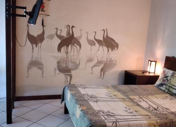 Studios in Caribe Campo