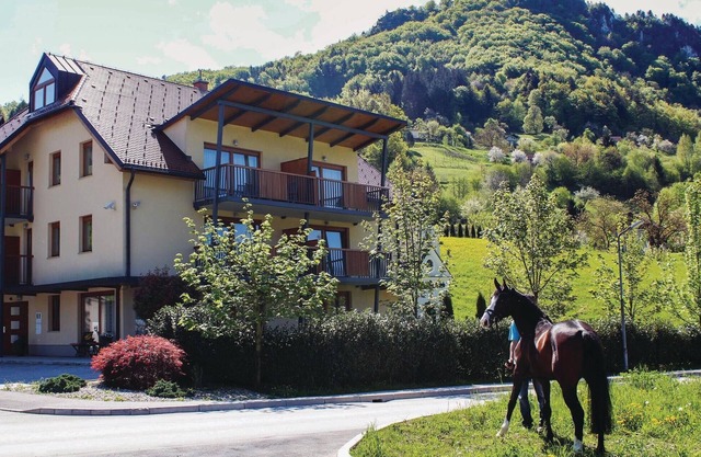 Stunning apartment in Lasko with WiFi