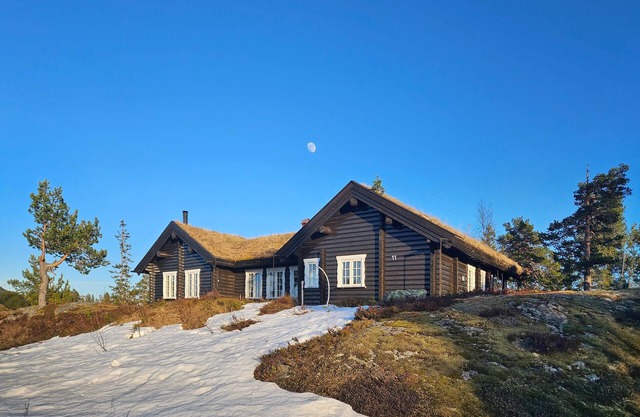 Stunning home in Flesberg with sauna