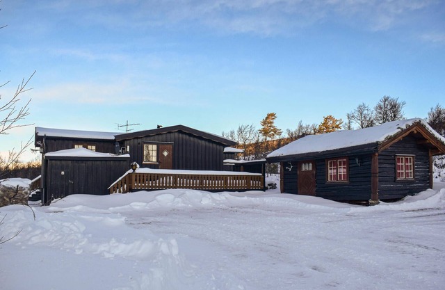 Stunning home in Uvdal with WiFi