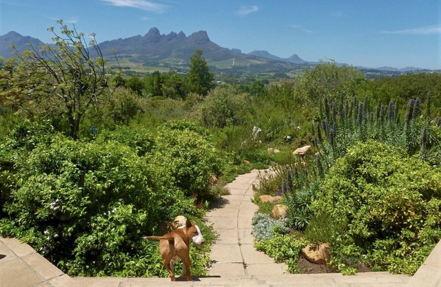 Stunning Mountain and Sea views in the Cape Winelands