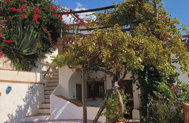 Stunning Views from Vine Terraces Down Rio Chico Valley