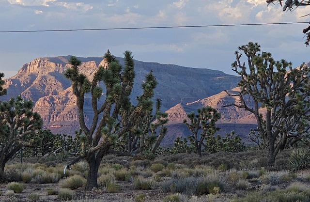 Stunning Views! Rustic cabin facing the base of Grand Canyon West