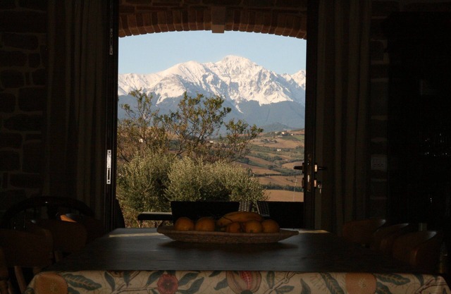 Stunning villa with private pool in peaceful olive grove