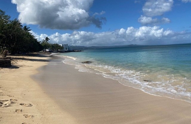 Suite 5: Deluxe One Bedroom 1 Block to Beach