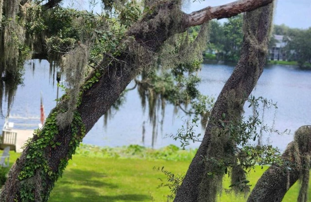 Suite en la Orilla del río