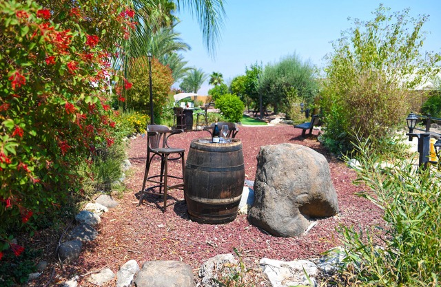 Suites in the Galilee