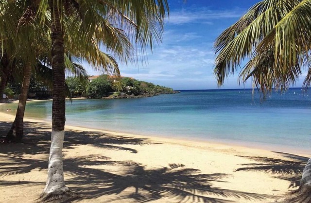 SUNsational Steps to Sea ~ 2 bedroom - West End, Half Moon Bay Starlink