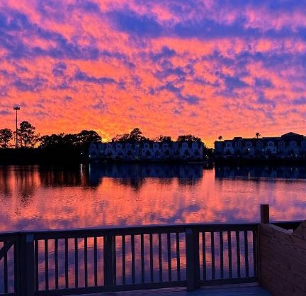 Sunset Serenity!-Tropical Waterfront Oasis-Huge Private Patio-10Min to KingSt & Beaches