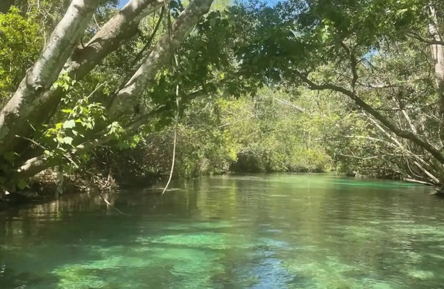 Sunset Shanty in Weeki Wachee Fl with full RV hookup.