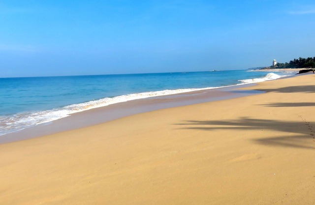Sunshine Filled Beach Escape