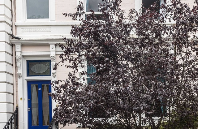 Superior 2 bed, 2 Bath apartment with Patio and Sunroom