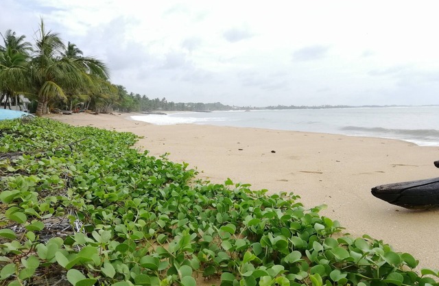 Superior Deluxe Sea view Room by Mars Hotel Tangalle