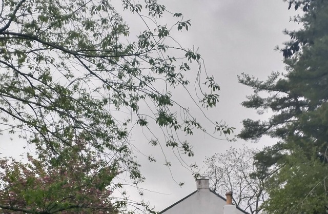 Sweet Farmhouse in Charming Skippack PA