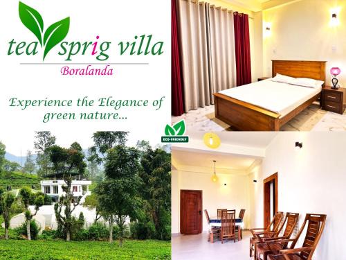 Tea sprig villa