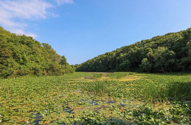 TEASEL, pet friendly, character holiday cottage in Pembroke