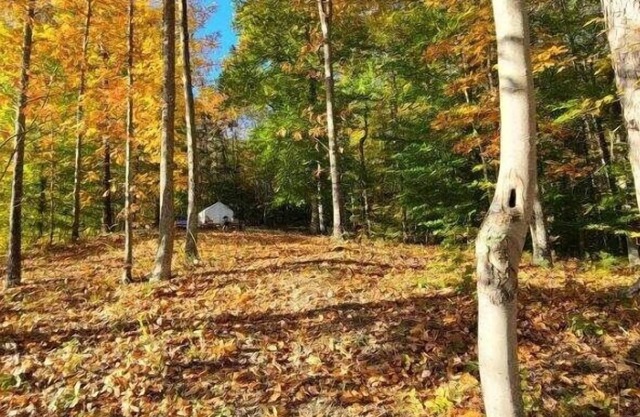 Tentrr Signature Site - Shangri-La